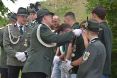 k-image294