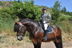 k-image375
