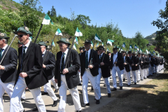 k-image389