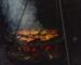 domihattenberger-grill-8434113